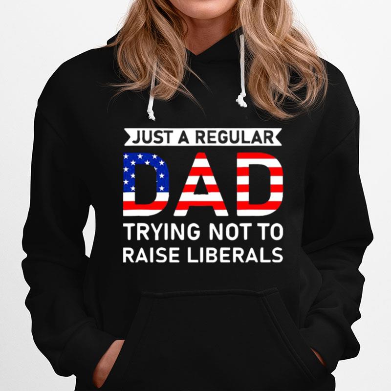 American Flag Just A Regular Dad Trying Not To Raise Liberals Hoodie