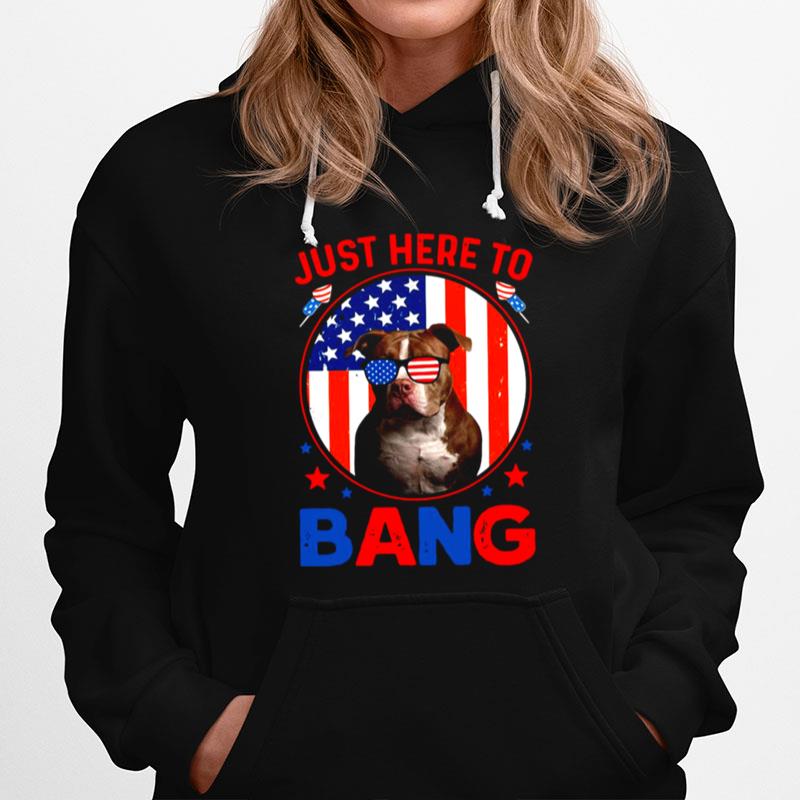 American Flag Just Here To Bang Hoodie