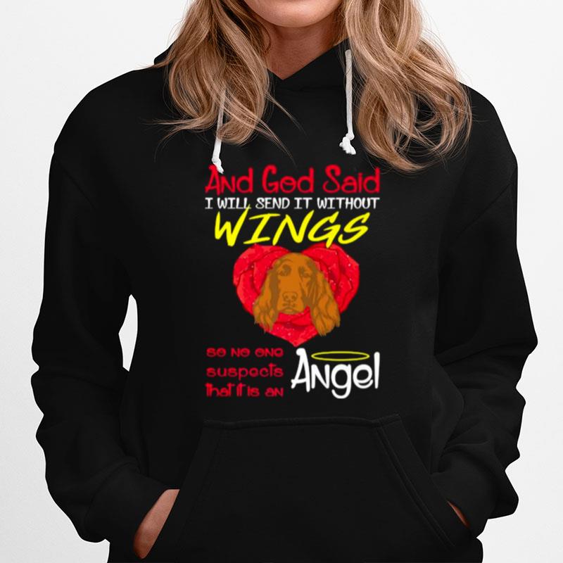 And God Said I Will Send It Withour Wings So No One Suspects That It Is An Angel Irish Setter Hoodie