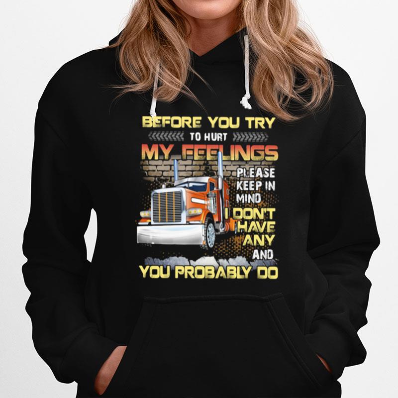 Before You Try To Hurt My Feelings Please Keep In Mind I Dont Have Any And You Probably Do Trucker Hoodie