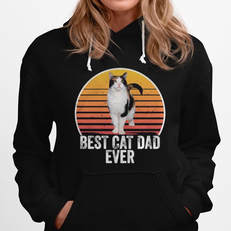 Best Cat Dad Ever Line Vintage Retro Hoodie