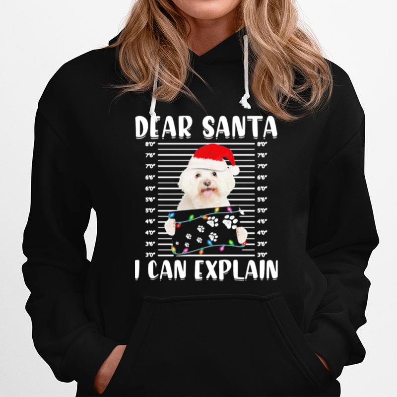 Bichon Dear Santa I Can Explain Christmas Sweater Hoodie