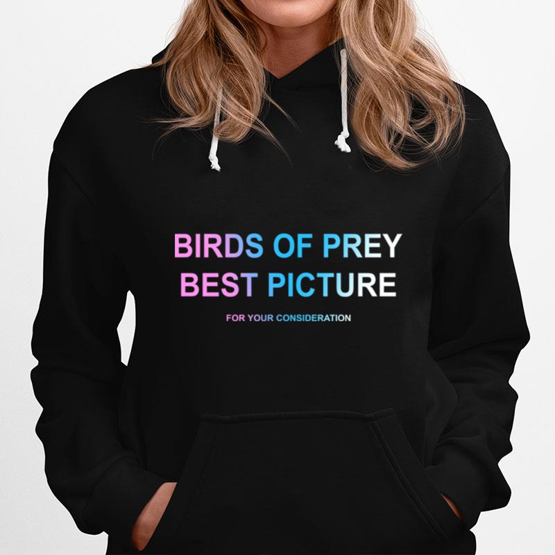 Birds Of Prey Best Picture For Your Consideration Hoodie