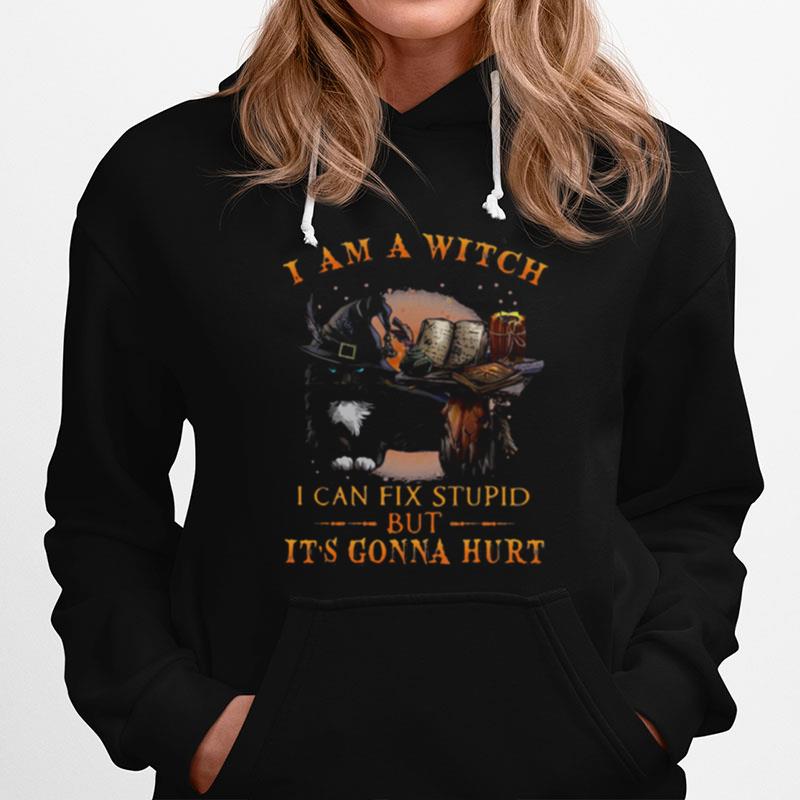 Black Cat I Am A Witch I Can Fix Stupid But Its Gonna Hurt Hoodie