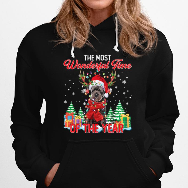 Bouvier Des Flandres Santa The Most Wonderful Time Of The Year Christmas Hoodie