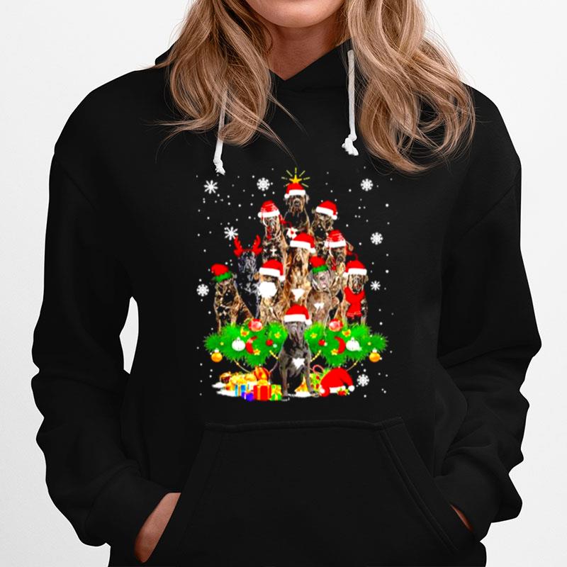 Cane Corso Christmas Tree Lights Xmas Hoodie