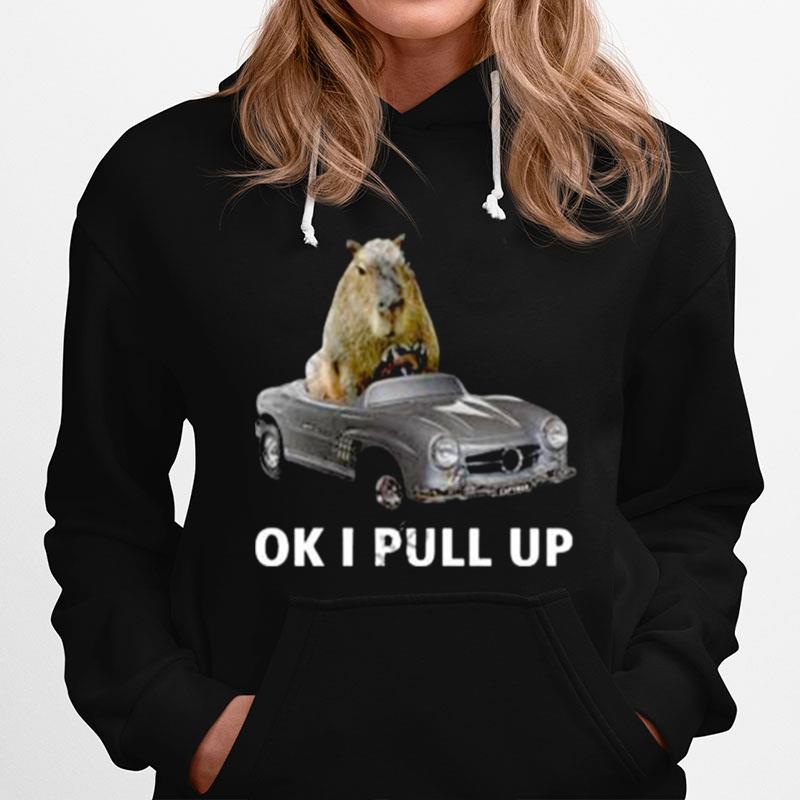 Capy Car Ok I Pull Up Hoodie