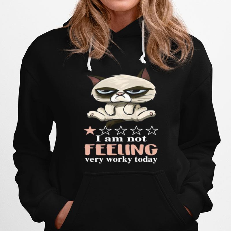 Cat Grumpy I Am Not Feeling Very Worky Today Hoodie