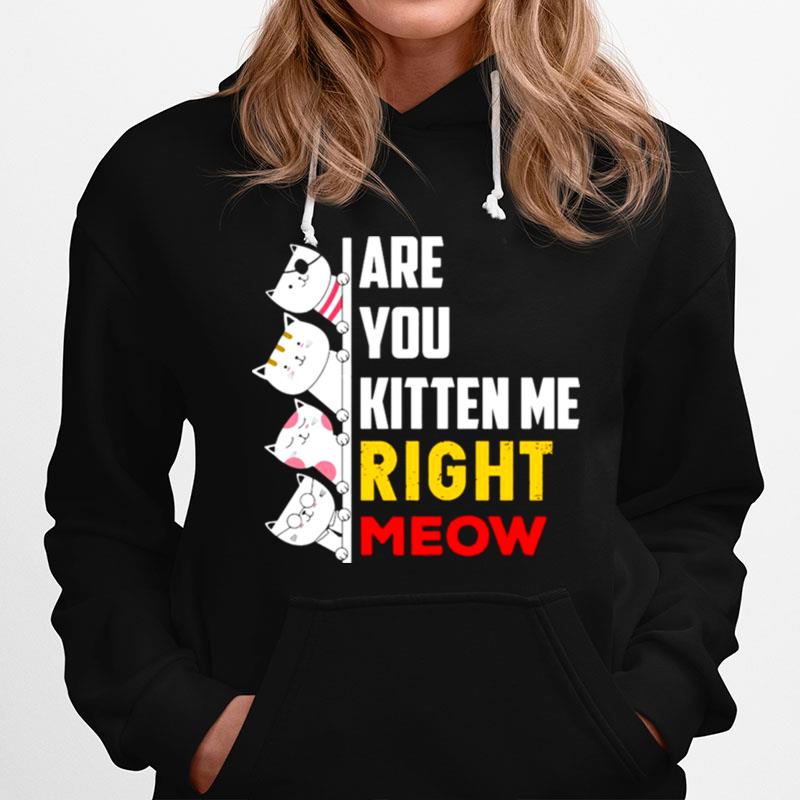 Cats Are You Kitten Me Right Meow Hoodie