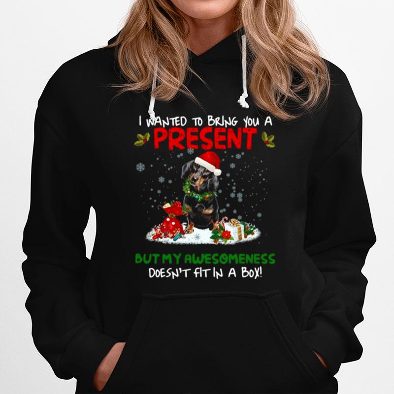 Dachshund I Wanted Bring You A Present But My Awesomeness Doesnt Fit In A Box Christmas Hoodie