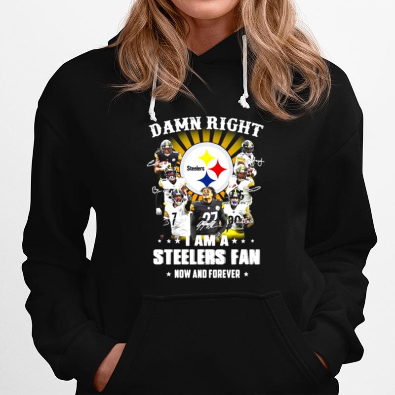 Damn Right I Am A Pittsburgh Steelers Fan Now And Forever Signatures Hoodie