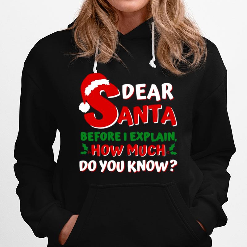 Dear Santa Before I Explain How Much Do You Know Hoodie