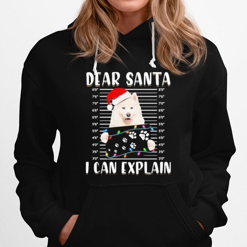 Dear Santa I Can Explain Light Christmas Hoodie