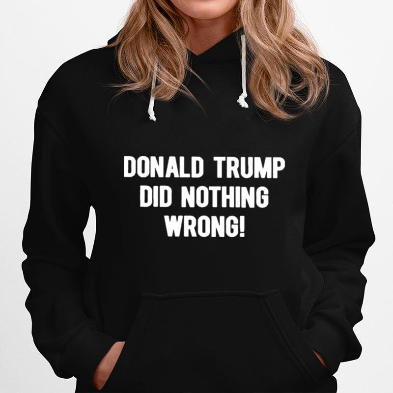 Donald Trump Did Nothing Wrong Hoodie