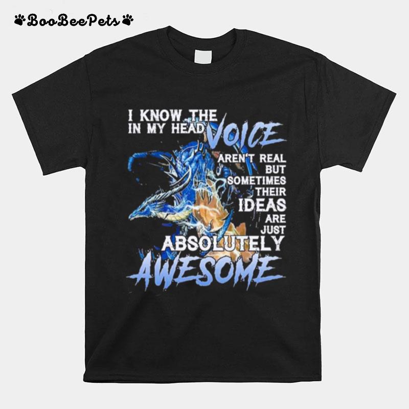 Dragon I Know The In My Head Voice Arent Real But Sometimes Their Ideas Are Just Absolutely Awesome T-Shirt