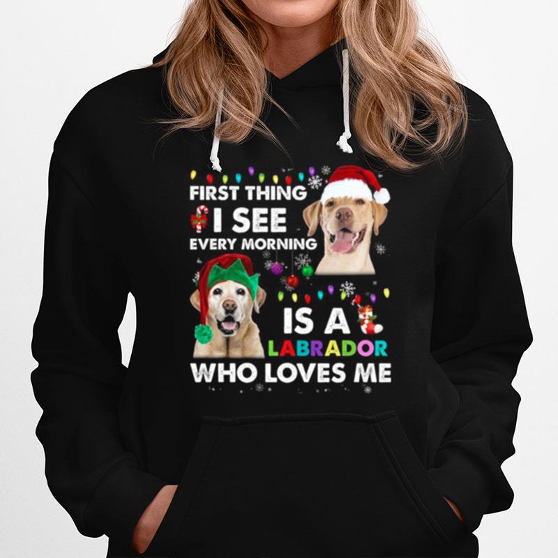 First Thing I See Every Morning Is A Labrador Who Loves Me Hoodie