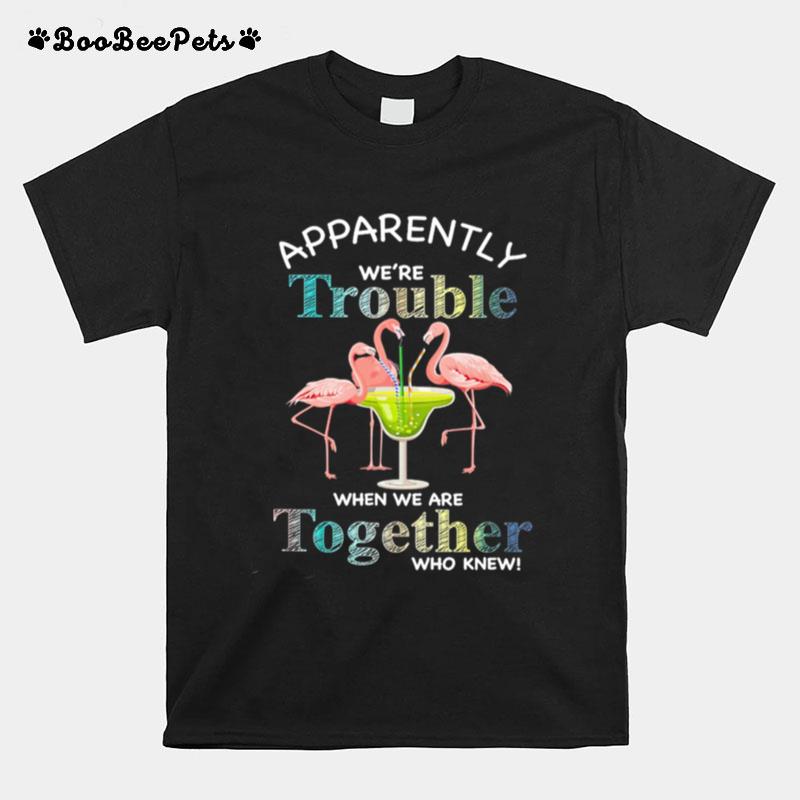 Flamingos Margarita Apparently Were Trouble When We Are Together Who Knew T-Shirt
