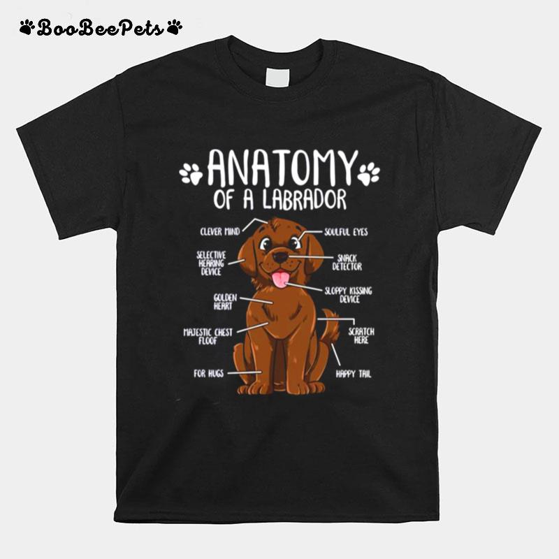 Funny Chocolate Labrador Dog Anatomy T-Shirt