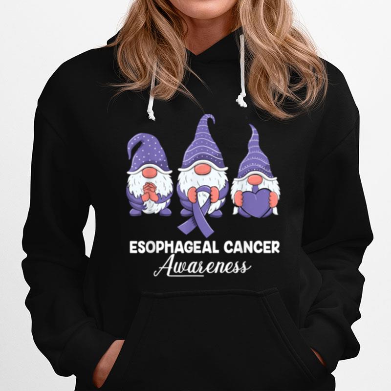 Gnomes Support With Ribbon Esophageal Cancer Awareness Hoodie