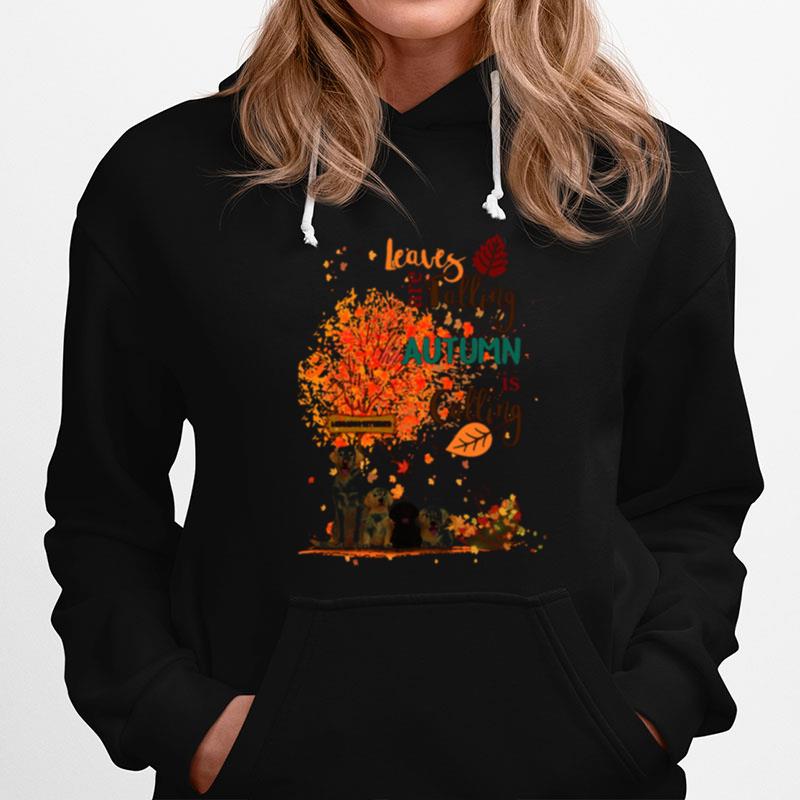 Golden Retriever Leaves Are Falling Autumn Is Calling Hoodie