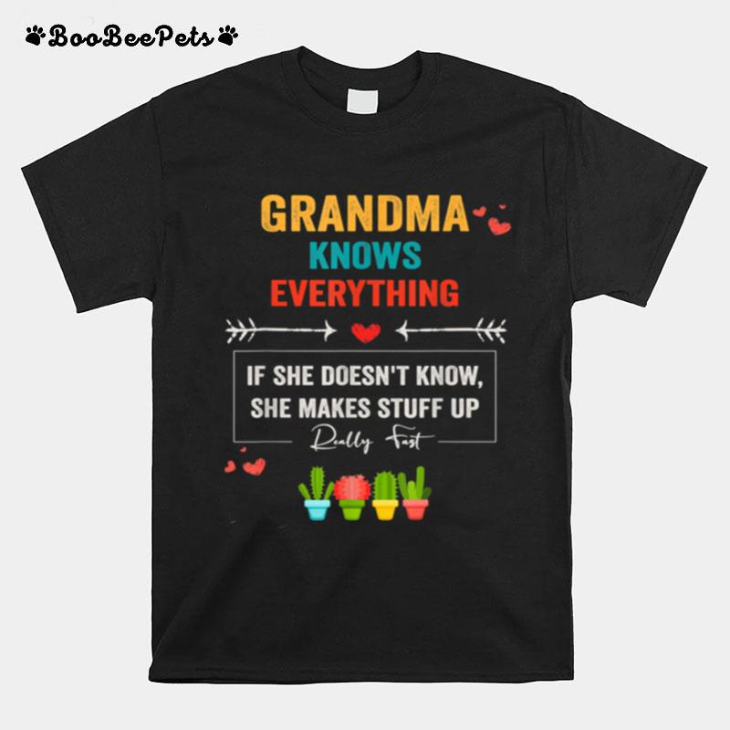 Gramma Grandkids Mothers Day Grandma Knows Everything T-Shirt