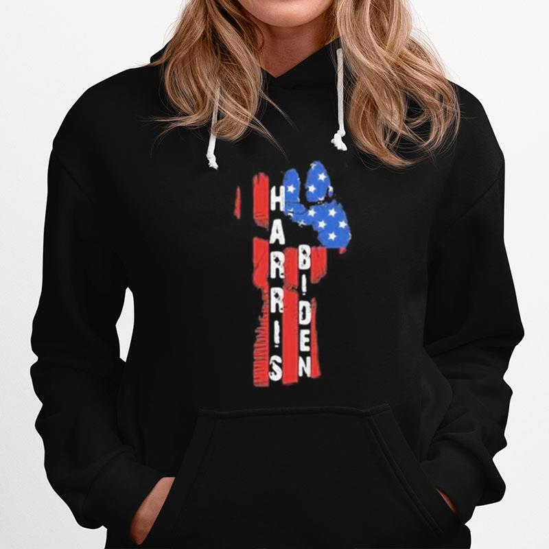 Harris Biden Black Lives Matter American Flag Hoodie