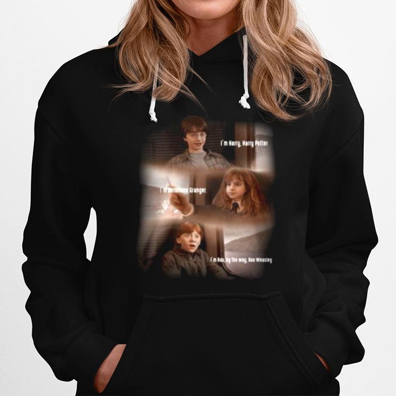 Harry Potter Friend Forever Hoodie