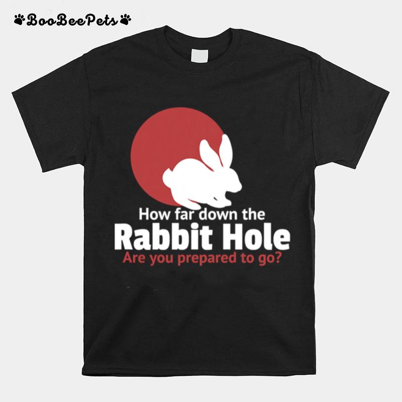 How Far Down The Rabbit Hole Are You Prepared To Go T-Shirt