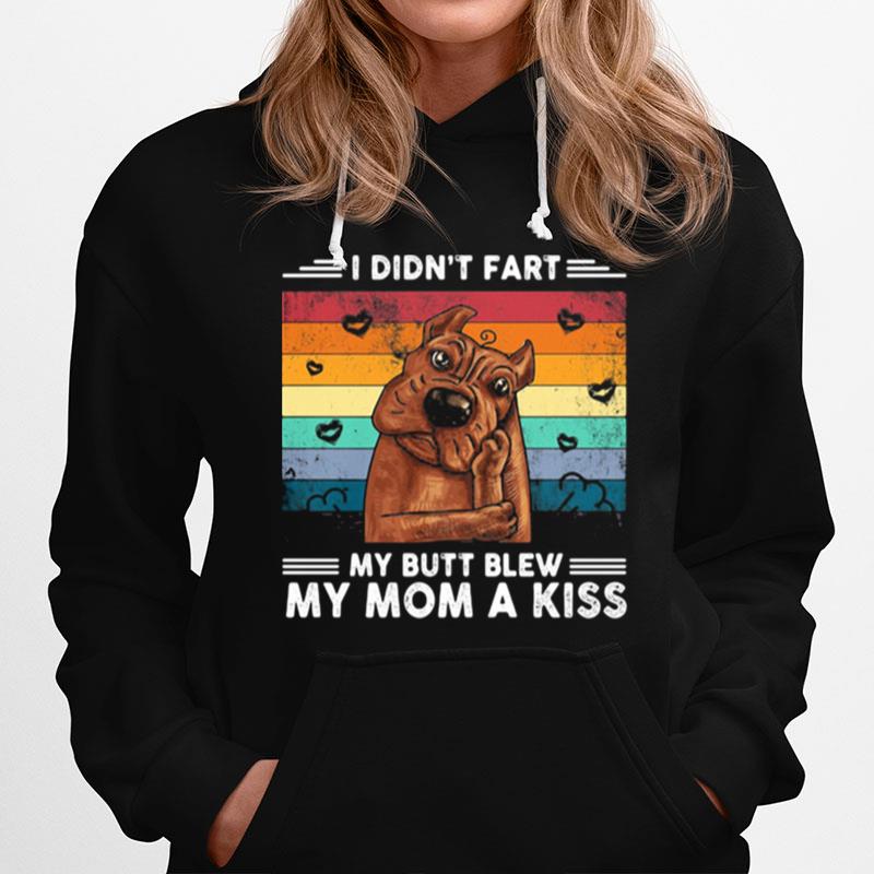I Didt Fart My Butt Blew My Mom A Kiss Stupid Dog Vintage Hoodie