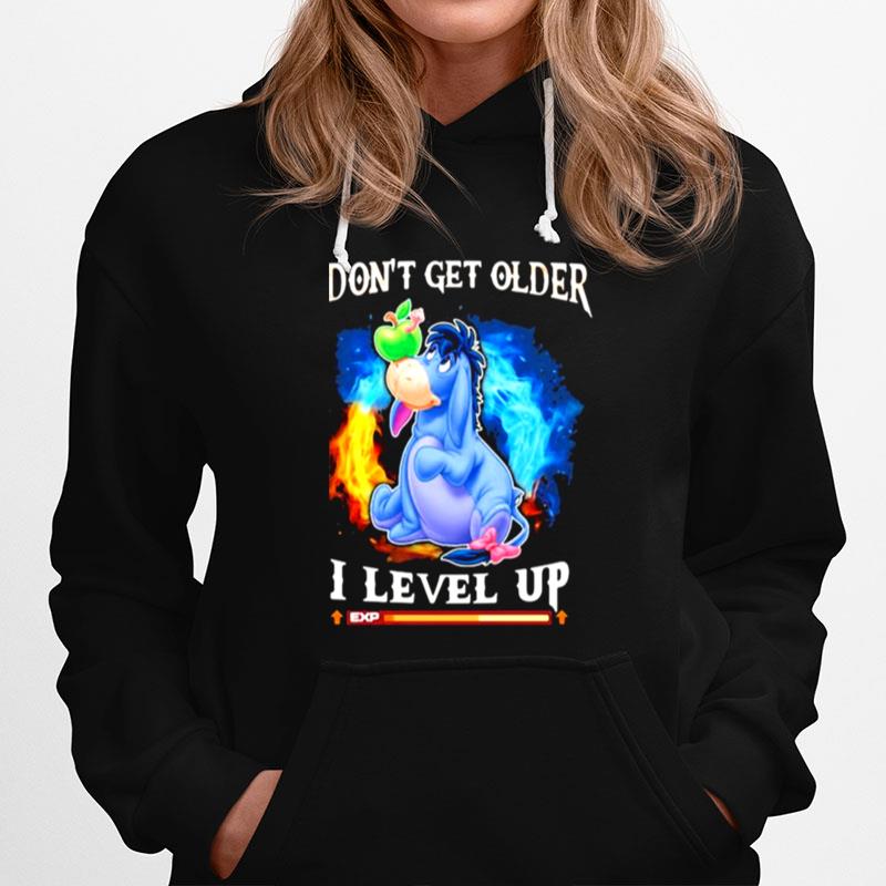 I Dont Get Older I Level Up Donkey Hoodie