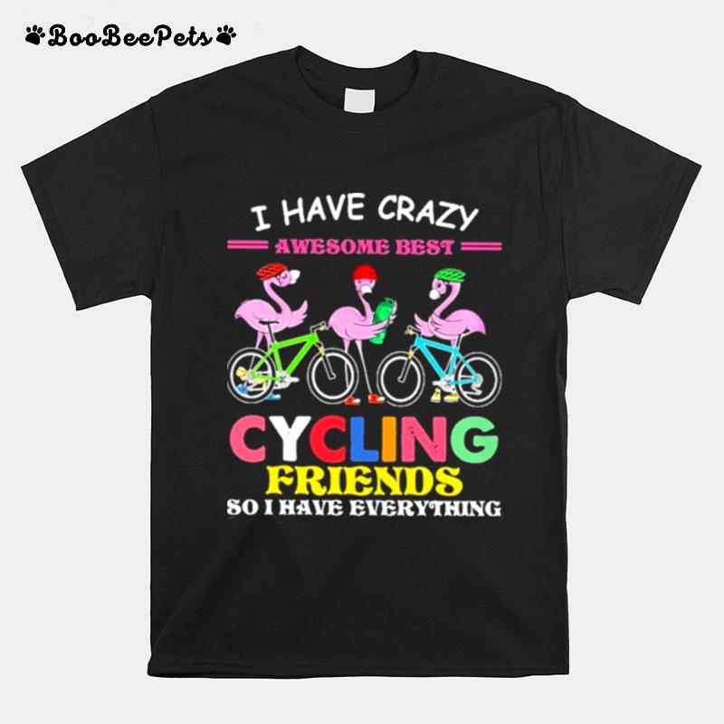 I Have Crazy Awesome Best Cycling Friends So I Have Everything T-Shirt