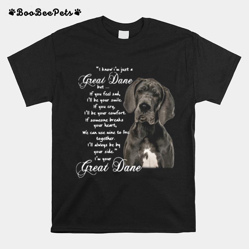 I Know Im Just A Great Dane But If You Feel Sad Ill Be Your Smile If You Cry T-Shirt