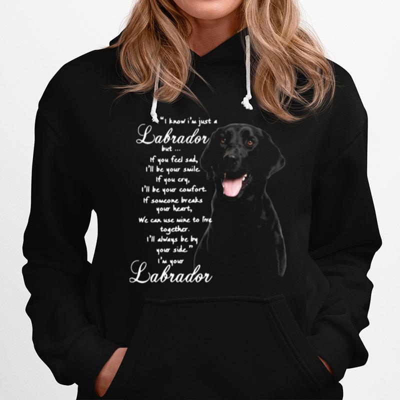 I Know Im Just A Labrador But If You Feel Sad Ill Be Your Smile Hoodie