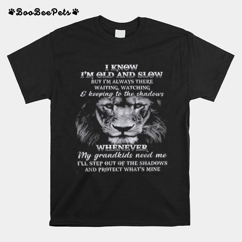 I Know Im Old And Slow But Im Always There Waiting Watching And Keeping To The Shadows T-Shirt