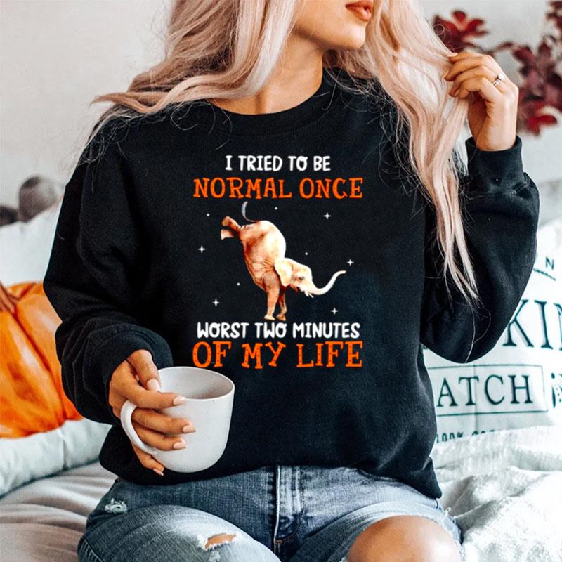 I Tried To Be Normal Once Worst Two Minutes Sweater