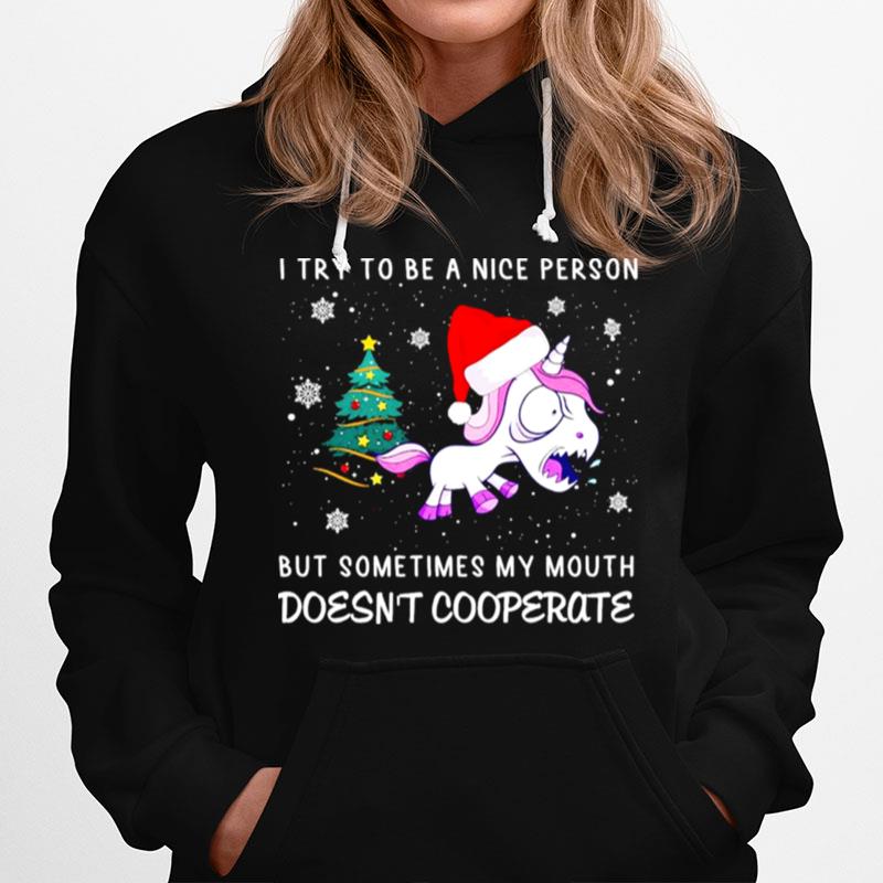 I Try Be A Nice Person But Sometime My Mouth Christmas Hoodie