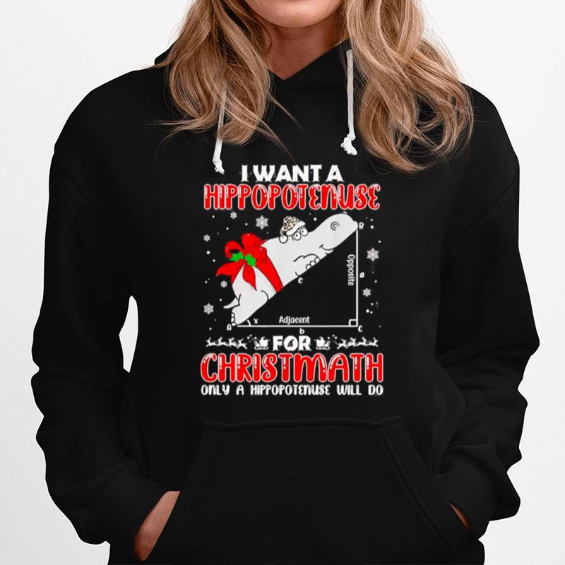 I Want A Hippopotenuse For Christmas Only A Hippopotenuse Will Do Christmas 2022 Hoodie