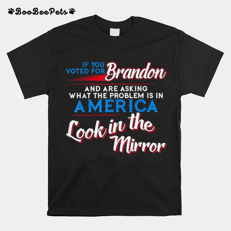 If You Voted For Brandon Look In The Mirror Sarcastic T B0B459Gdzs T-Shirt