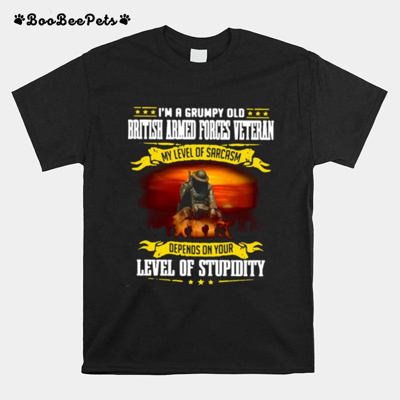 Im A Grumpy Old British Armed Forces Veteran My Level Of Sarcasm Depends On Your Level Of Stupidity T-Shirt