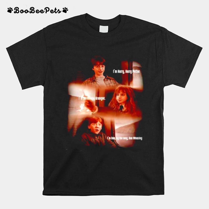 Im Harry Potter Im Hermione Granger Im Ron T-Shirt