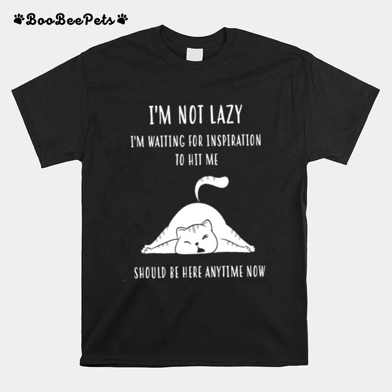 Im Not Lazy Im Waiting For Inspiration To Hit Me Should Be Here Anytime Now T-Shirt