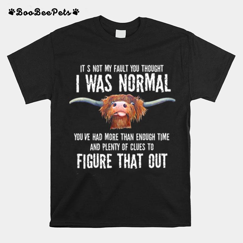 Its Not My Fault You Thought I Was Normal Youve Had More Than Enough Time T-Shirt