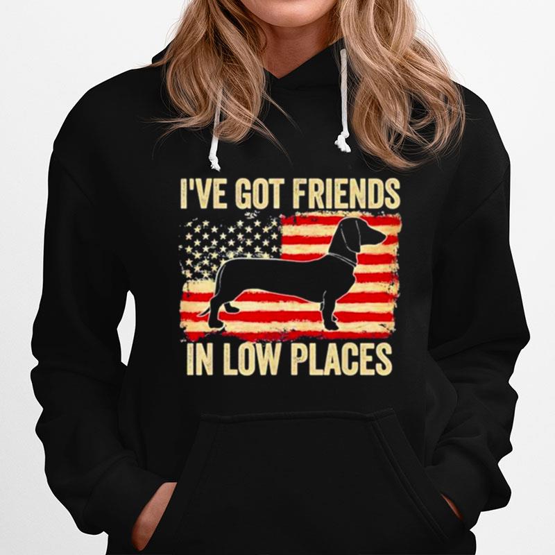 Ive Got Friends In Low Places Dachshund American Flag Hoodie