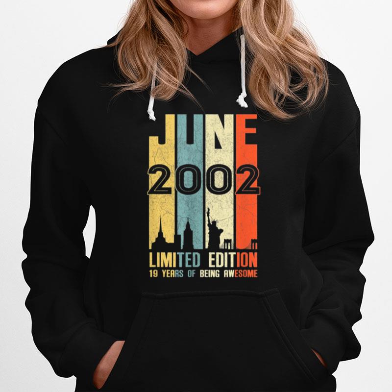 June 2002 19 Birthday 19 Year Old 2002 Birthday Vintage Hoodie