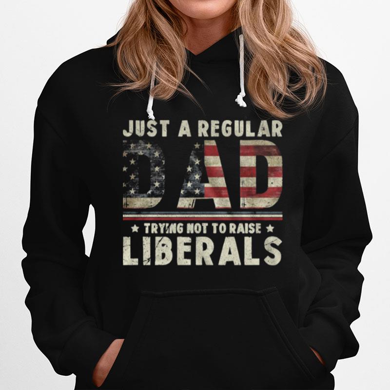 Just A Regular Dad Trying Not To Raise Liberals American Flag Hoodie