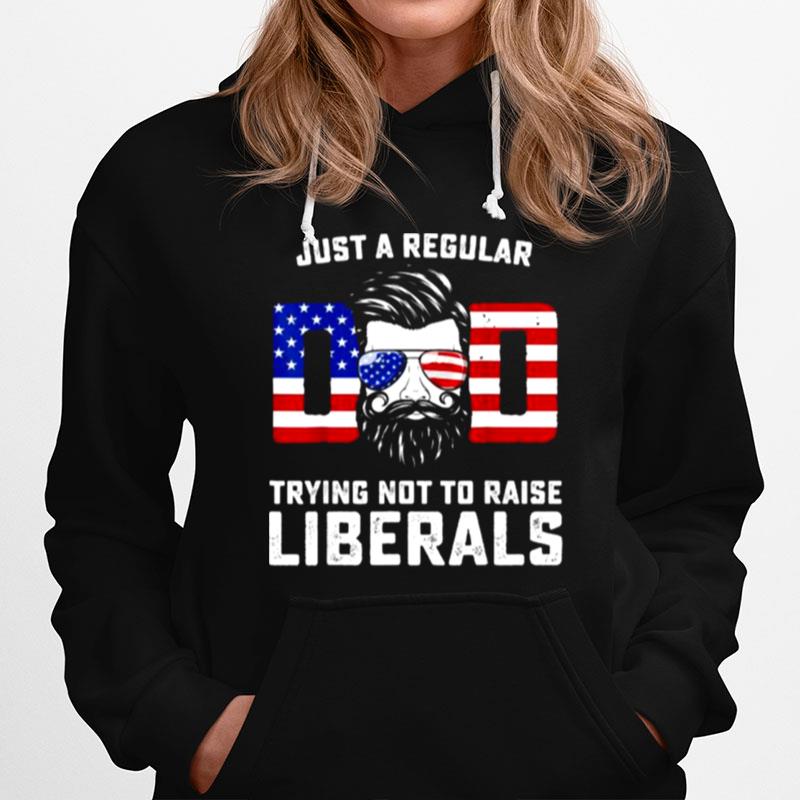 Just A Regular Dad Trying Not To Raise Liberals Fathers Day Man Hoodie