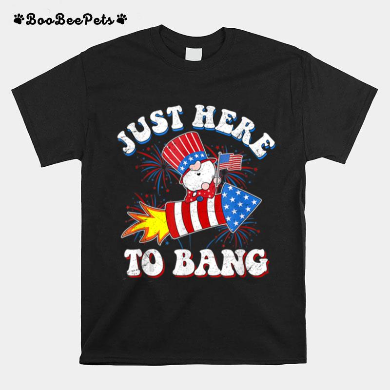 Just Here To Bang Tshirt 4Th Of July Gnomes Firework T B0B4Zmhzhd T-Shirt