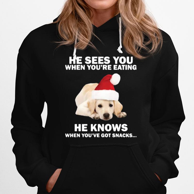 Labrador He Sees You When Youre Eating He Knows When Youve Got Snacks Christmas Hoodie