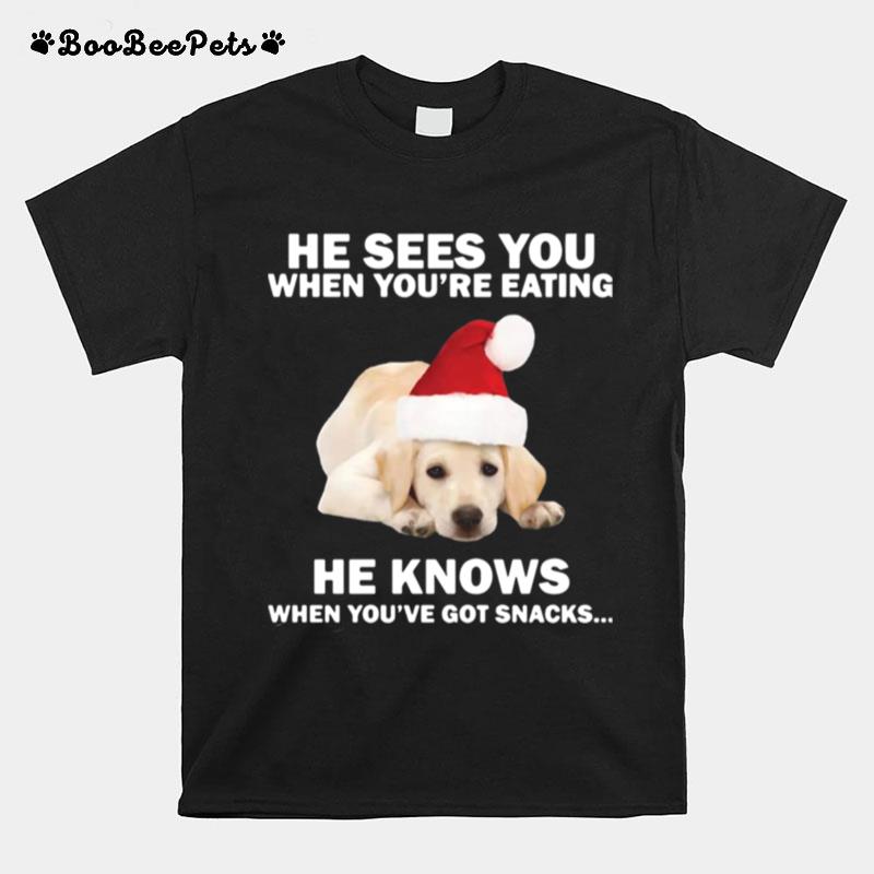 Labrador He Sees You When Youre Eating He Knows When Youve Got Snacks Christmas T-Shirt