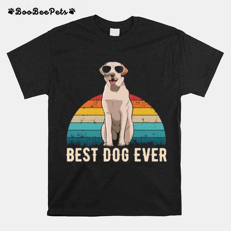 Labrador Retriever Dog Clothes T-Shirt